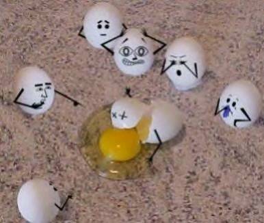 :)mdr la photo